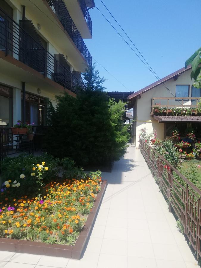 Villa Pescarus Costineşti Exteriér fotografie